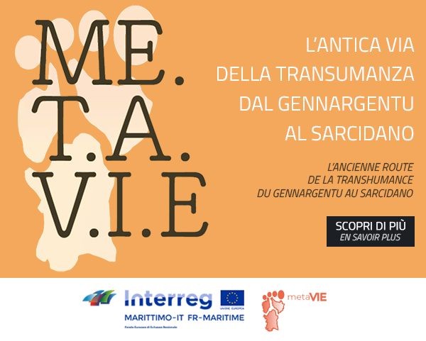 progetto metavie multilingua2