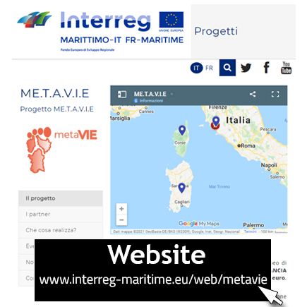 progetto metavie website