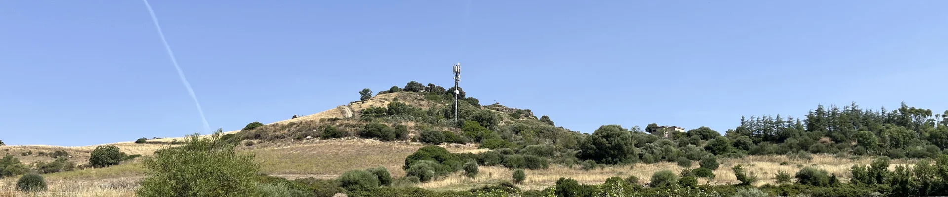 Genoni