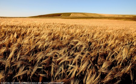 Paesaggio Gal Sarcidano