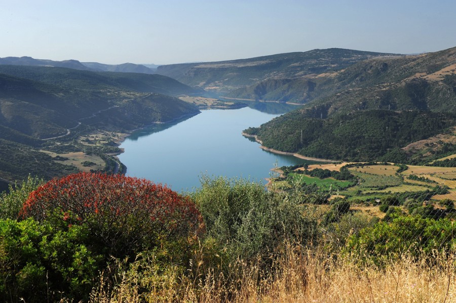 Paesaggio lago